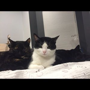 BUYERS DISCRETION ADVISED! WARNING!!